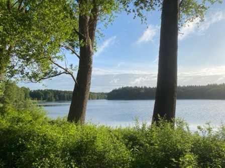 Seedorf Morgens um den Kuechensee 1