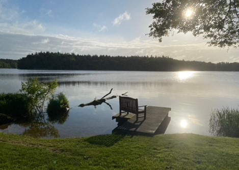 Seedorf Morgens um den Kuechensee 2