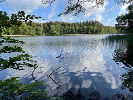 Seedorf Morgens um den Kuechensee 3